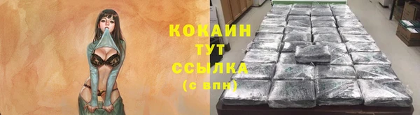 МДПВ Елизово