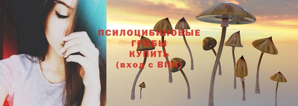 МДПВ Елизово