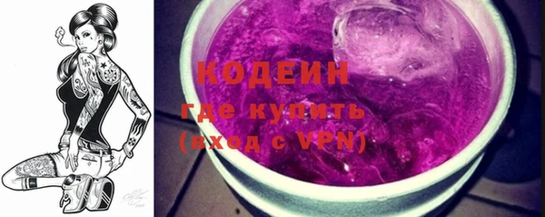 МДПВ Елизово