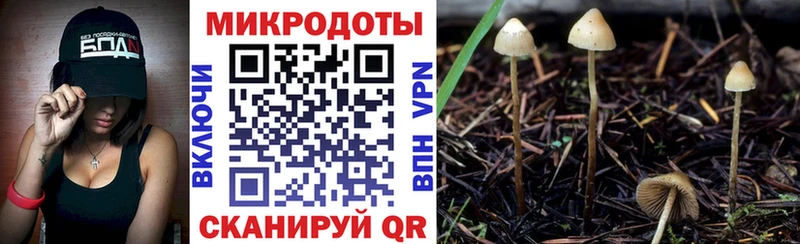 Псилоцибиновые грибы MAGIC MUSHROOMS  магазин продажи наркотиков  Томмот 